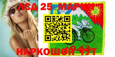 СК Бердск