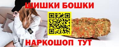 СК Бердск