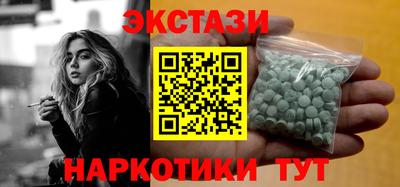 СК Бердск