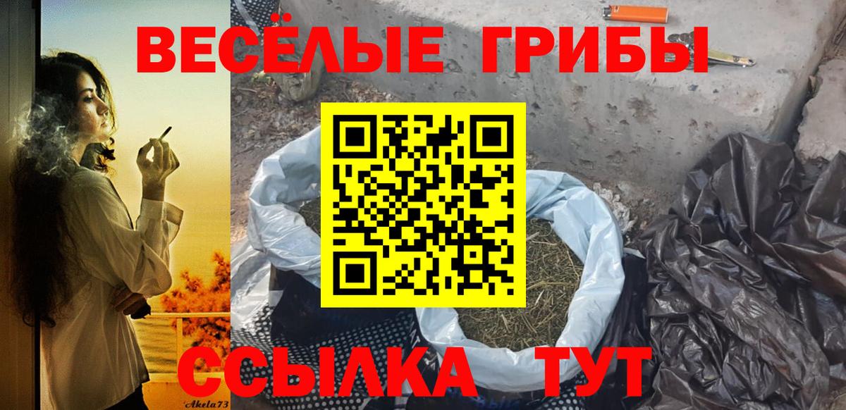 Сургут  Галлюциногенные грибы Psilocybine cubensis  Галлюциногенные грибы Magic Shrooms  Вход с VPN 